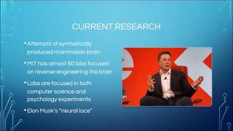 Reverse Engineering the Brain