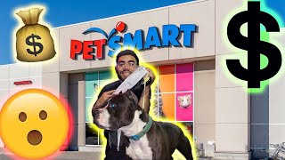 BUYING MY DOG EVERYTHING HE TOUCHES!!