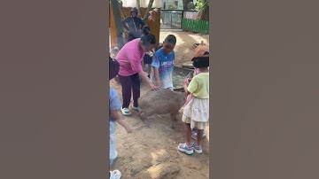 Một ngày vui chơi ở Thảo Cầm Viên