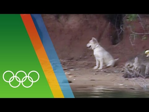 Top Olympic Animals