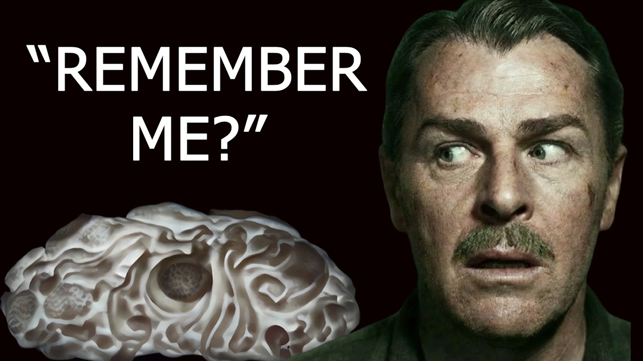 5 недооцененных научно-фантастических фильмов 1950-х годов, которые вы, вероятно, пропустили!