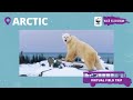 Virtual Field Trip to the Arctic (Spanish subtitles)