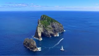 Our Favourite Sailing Destinations in New Zealand! Ep. 77