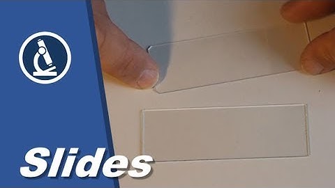 🔬 014 - Why do some microscope SLIDES have cut corners?