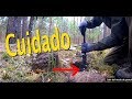 SORPRESA EN BOSQUE ALEMAN con DETECTOR de METALES XP DEUS HF.ep.18