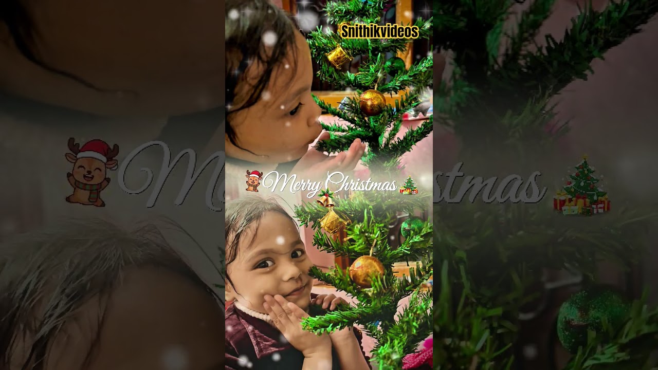 Merry Christmas to All | Christmas Vibes 2025 🎄 