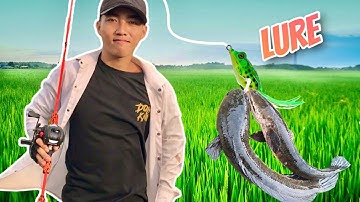 Lu Rê Cá Lóc Bằng Cần Câu Máy Ngang
