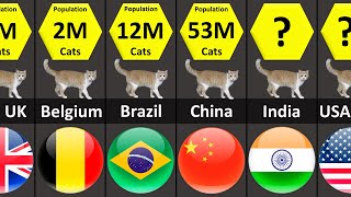 CAT Population by Country by DataZoo 3,968 views 1 year ago 1 minute, 56 seconds
