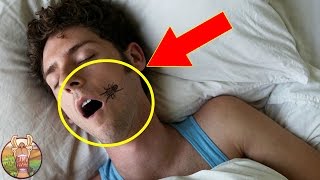 9 MENSONGES Auxquels TOUT LE MONDE Croit (partie 2) | Lama Faché