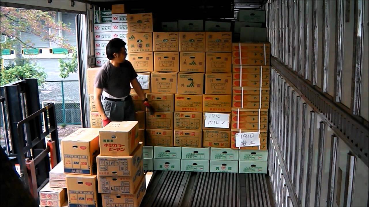 トラックの積み込み風景in東京多摩青果市場 Youtube