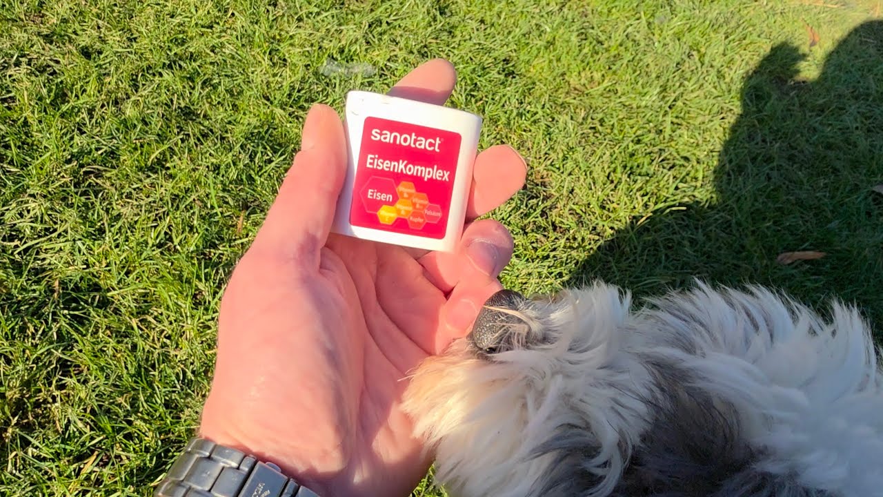 Meine Tauben und Zucht am 20.01.26