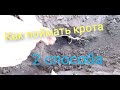 👍Как поймать крота/ пика, крючки / how to catch a mole / pike, hooks