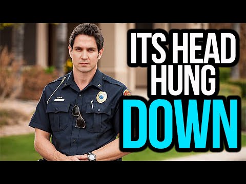 Police Officer REVEALS