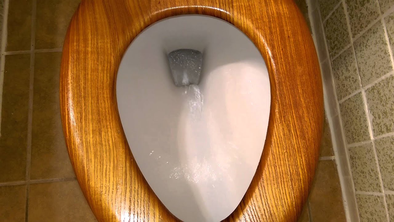 2013 ProFlo Toilet Flushing Installed YouTube