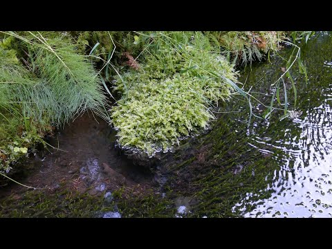 Video: Miten saamme pohjavettä?