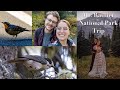 Mt. Rainier National Park: Wildlife Photography and our Engagement Picture Photoshoot!