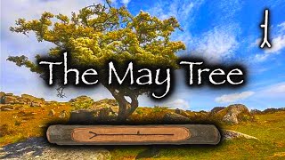 Hawthorn | Folklore, Mythology and Magic of the May Tree by Story Crow 12,460 views 2 days ago 25 minutes