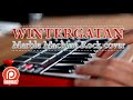 Wintergatan - Marble Machine Rock Cover