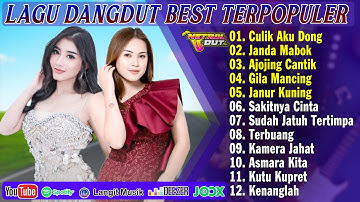 LAGU DANGDUT TOP PLAYLIST 2025 PALING HITS - DANGDUT KOPLO KOMPILASI PILIHAN TERBAIK TAHUN INI