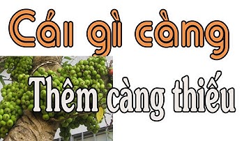 Cái gì càng thêm càng thiếu, càng thêm càng nhẹ - câu đố