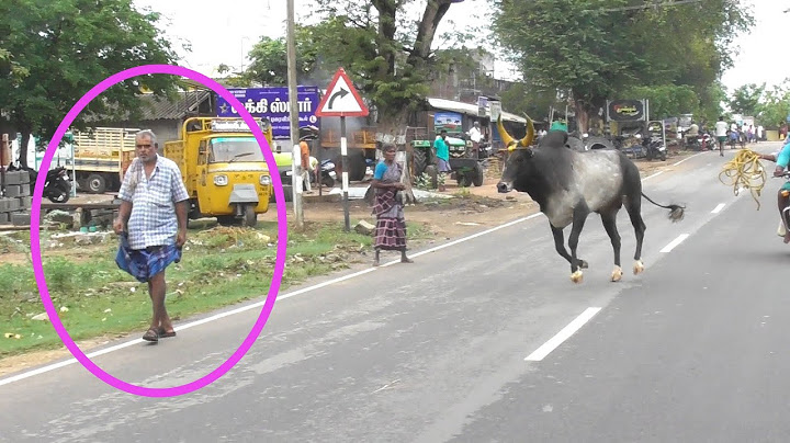 தாத்தாவுக்கு என்ன ஆச்சு 😲||கோவக்கார பய 👿||நேற்று இலுப்பூர் ஜல்லிக்கட்டு