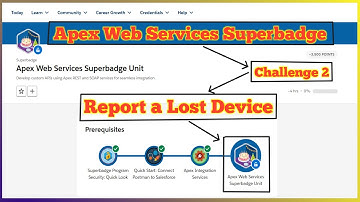 Report a Lost Device | Apex Web Services Superbadge Unit | Challenge 2