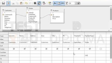 Insert the appropriate criterion in the Payment query to display customers who pay by cheque...
