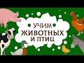 Животные для детей. Учим животных и птиц. Карточки домана. Учимся говорить