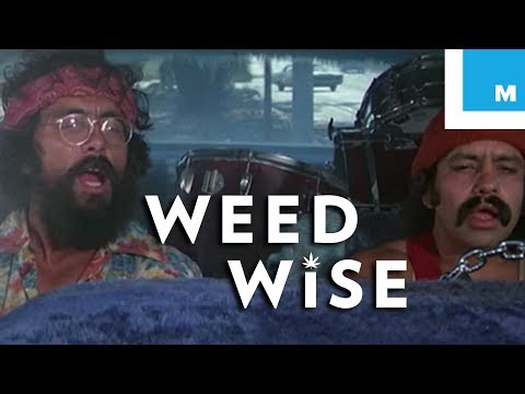 Video: Weed Kill Brain Cells? Età, Effetti A Breve E Lungo Termine, Altro