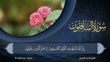 63 | سورة المنافقون | الشيخ أحمد النفيس