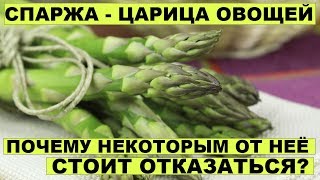 СПАРЖА - ЦАРИЦА ОВОЩЕЙ. Почему некоторым от неё стоит отказаться? СПАРЖА - ЦАРИЦА ОВОЩЕЙ. Почему некоторым от неё стоит отказаться?