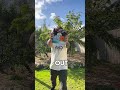 Tired of Socks and Jocks? Discover the Joy of Disc Golf with Your Family in the Great Outdoors! 🥳