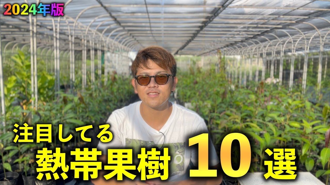 2024年版】熱帯果樹系Youtuberが，いま注目してる熱帯果樹「10」選