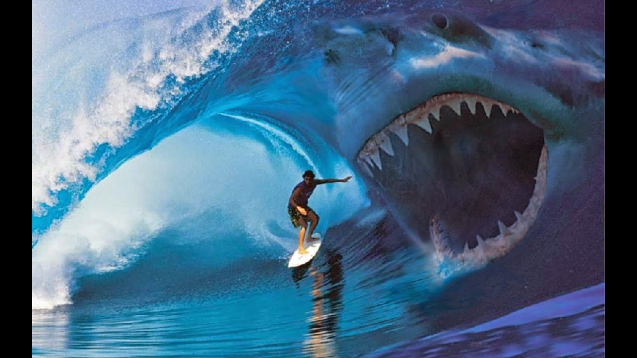 WORLD S BIGGEST SHARK EVER CAUGHT ON CAMERA MEGALODON 2014 YouTube