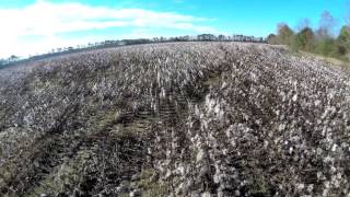 South Carolina Female Farmers Cropping Up