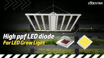 Using an Integrating Sphere to test led horticulture lighting.|How we test|PPFD test