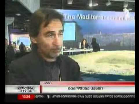 მერიამ კანში პროექტები წარმოადგინა