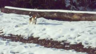 Jura-14-12-2008-095.AVI