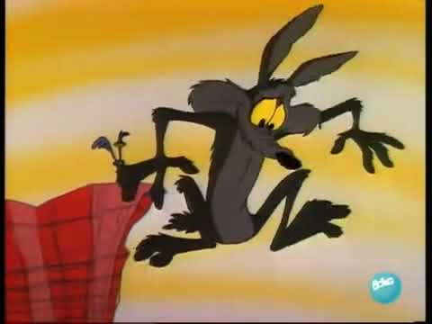 Wile E  Coyote falls off cliff