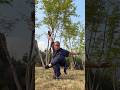 SHAOLIN KUNG FU FIST || EAGLE CLAW MARTIAL ART #kungfu #martialarts #shaolin