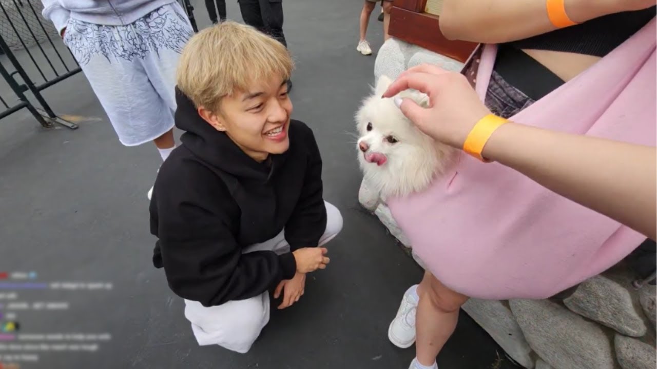 Джейсон тусуется с собакой ЛилиПичу!