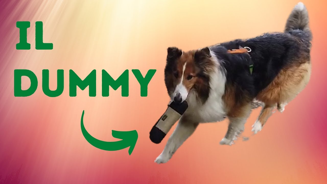 Dummy Anatra Cane Training Retrieve Ciuccio Resistente All'Usura