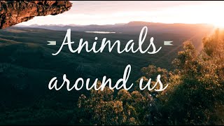 animals arround us