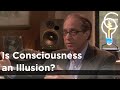 Raymond Kurzweil - Is Consciousness an Illusion?