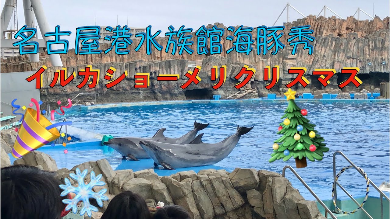 名古屋港水族館イルカショーメリクリスマス19 12 22 Youtube