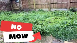 This Is What Happens After A Year Of No Mow... Overgrown Lawn AGAIN! by Acres Lawn Care 10,312 views 2 weeks ago 11 minutes, 46 seconds