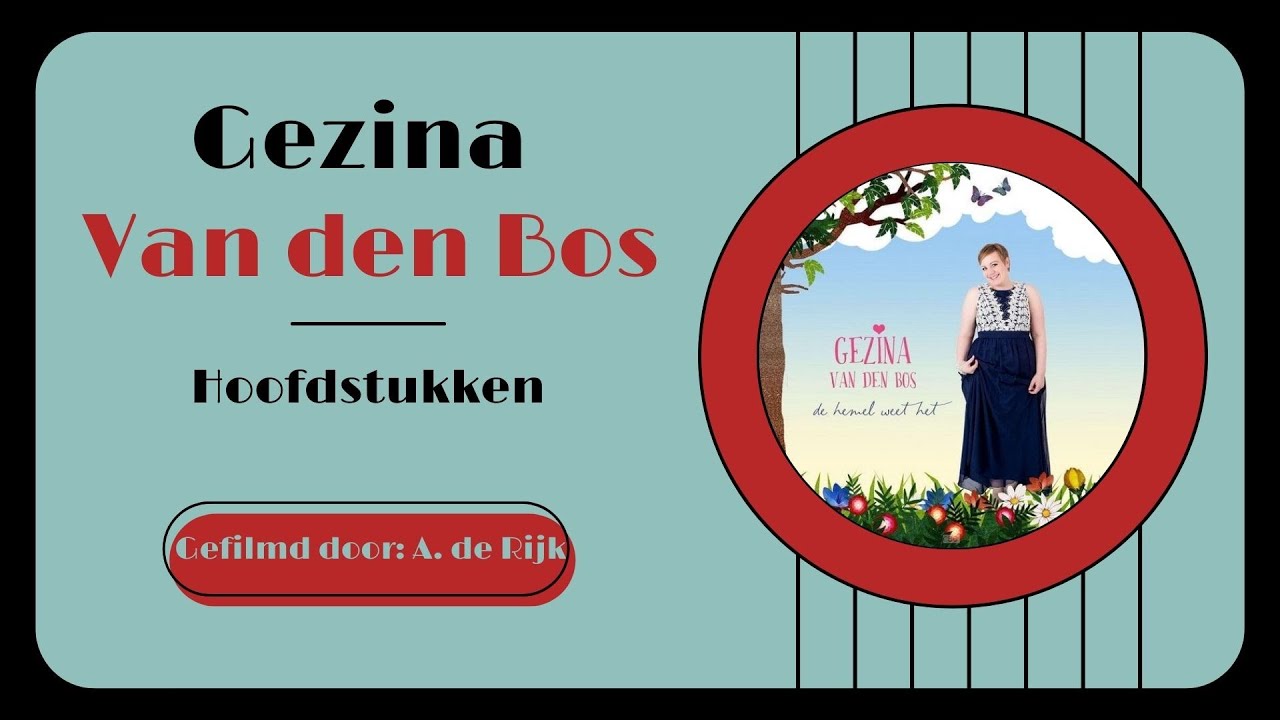 Hoofdstukken - Gezina van den Bos - De hemel weet het