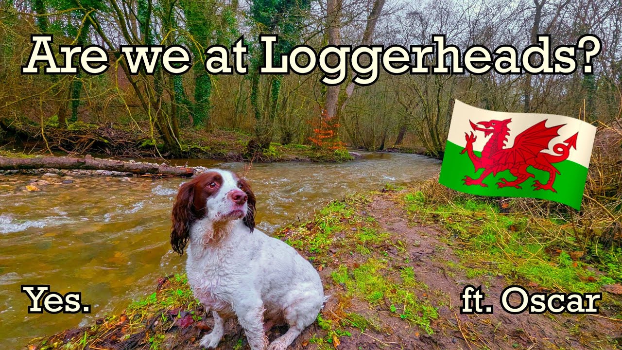 Beautiful North wales walk | That ends in a cosy pub