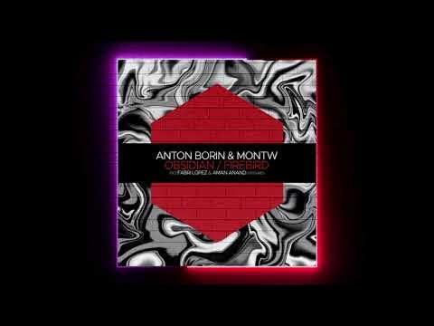 Montw, Anton Borin (RU) - Obsidian (Fabri Lopez Remix) [Juicebox Music]