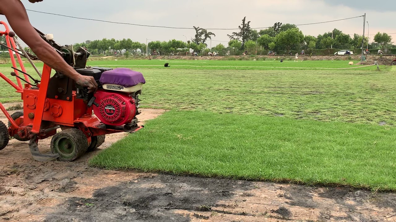 Cắt cỏ ở Vũng Tàu chất lượng, uy tín, nhanh chóng tới bất cứ đâu